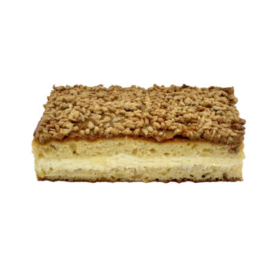 Plokštainis SAULĖGRĄŽA
